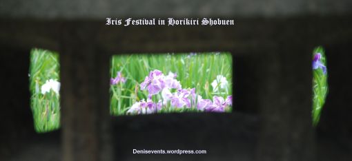 Iris Festival Horikiri Shobuen Flowers through a Stone Lantern