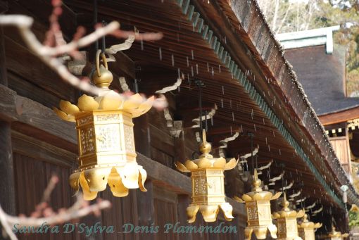 Kitano Tenmangu Shrine, Golden lanterns under the drops of rain