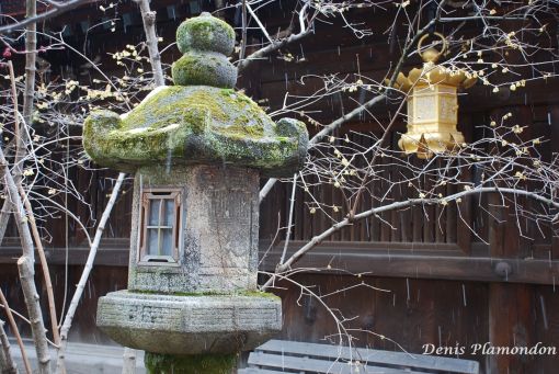 Stone Lantern at Kitano Tenmangu Shrine in Kyoto durig Ume Matsuri